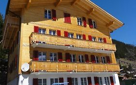 Chalet Schoenbuehl